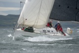 monkey business gbr7697t whyw18 tue gjmc 8279w